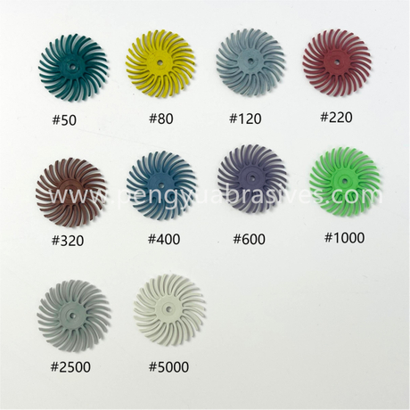 radial bristle disc01.jpg