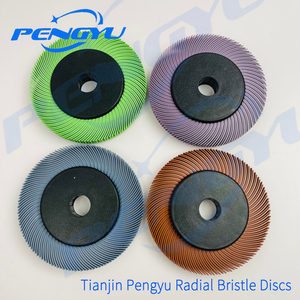 tianjinpengyuradialbristledisc1