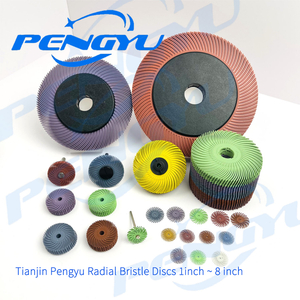 tianjinpengyuradialbristledisc6