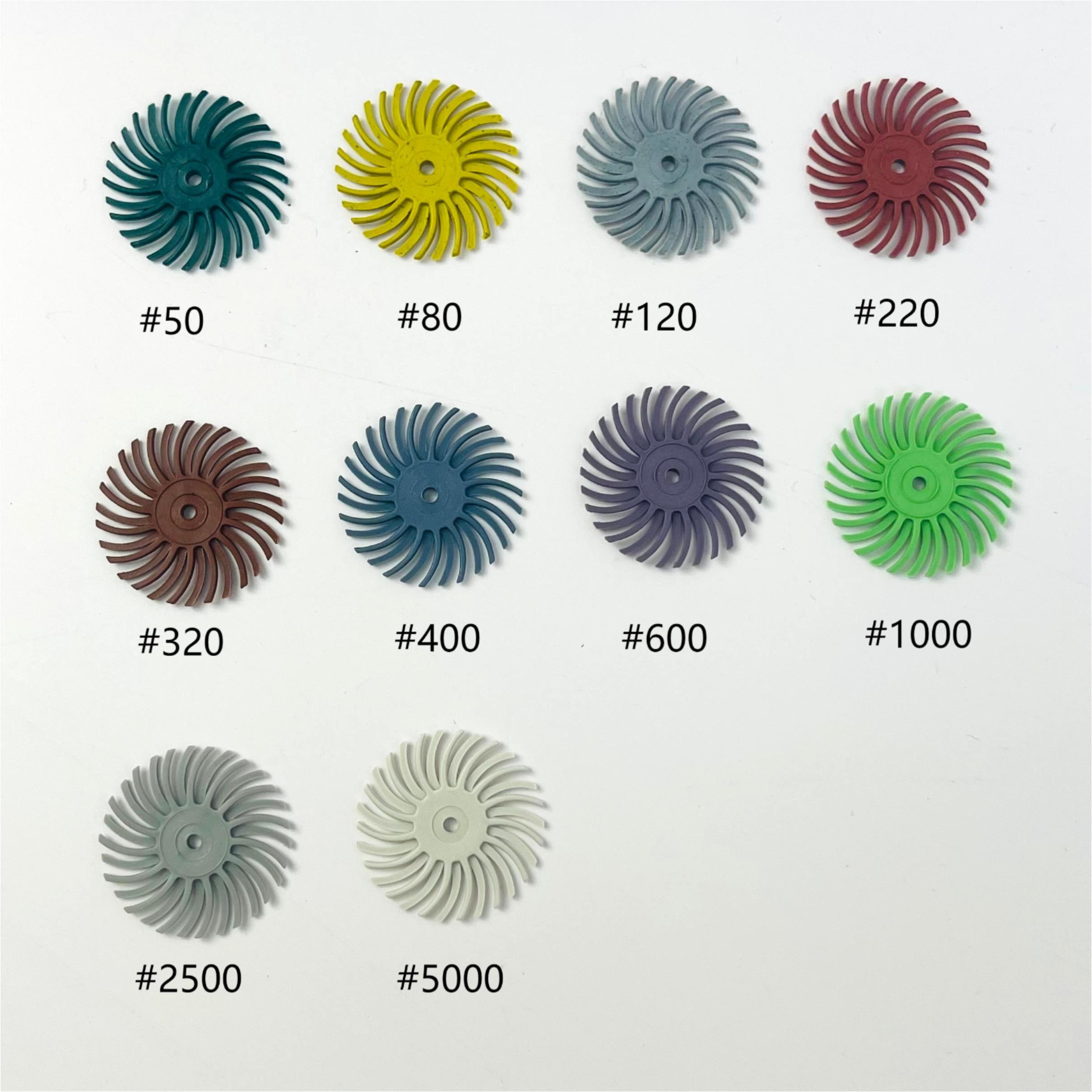 125_radial bristle disc01