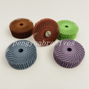 radial bristle disc11.jpg