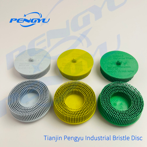 tianjinpengyurindustrilbristledisc6